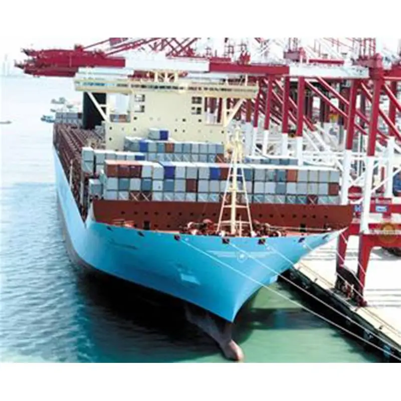 Types communs de fret dans le fret maritime